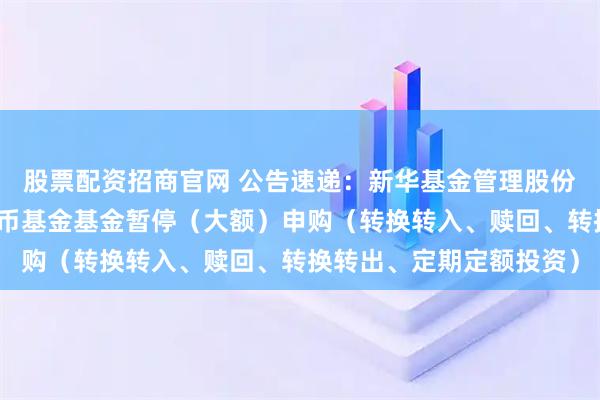 股票配资招商官网 公告速递：新华基金管理股份有限公司新华壹诺宝货币基金基金暂停（大额）申购（转换转入、赎回、转换转出、定期定额投资）