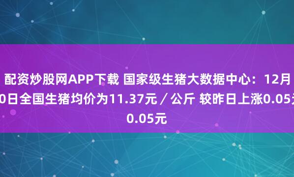 配资炒股网APP下载 国家级生猪大数据中心:12月10日全国生猪均价为11.37元/公斤 较昨日上涨0.05元