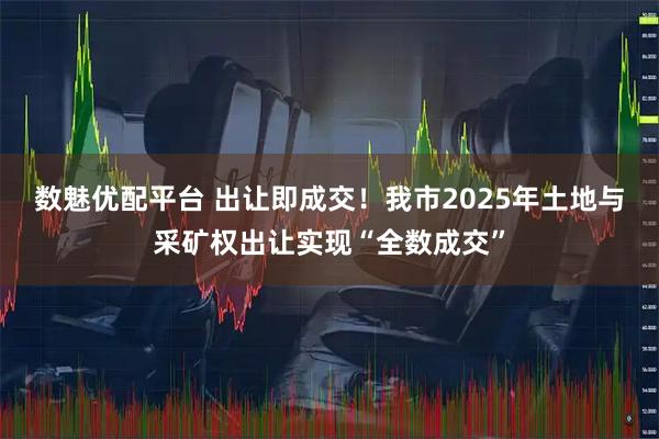数魅优配平台 出让即成交！我市2025年土地与采矿权出让实现“全数成交”