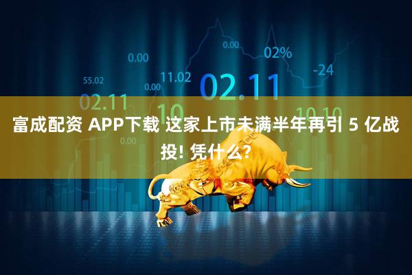 富成配资 APP下载 这家上市未满半年再引 5 亿战投! 凭什么?