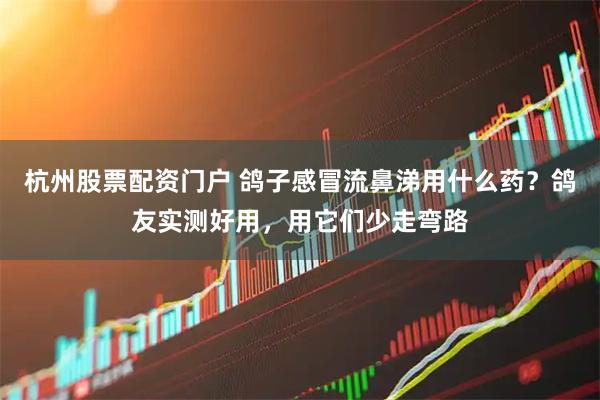杭州股票配资门户 鸽子感冒流鼻涕用什么药？鸽友实测好用，用它们少走弯路